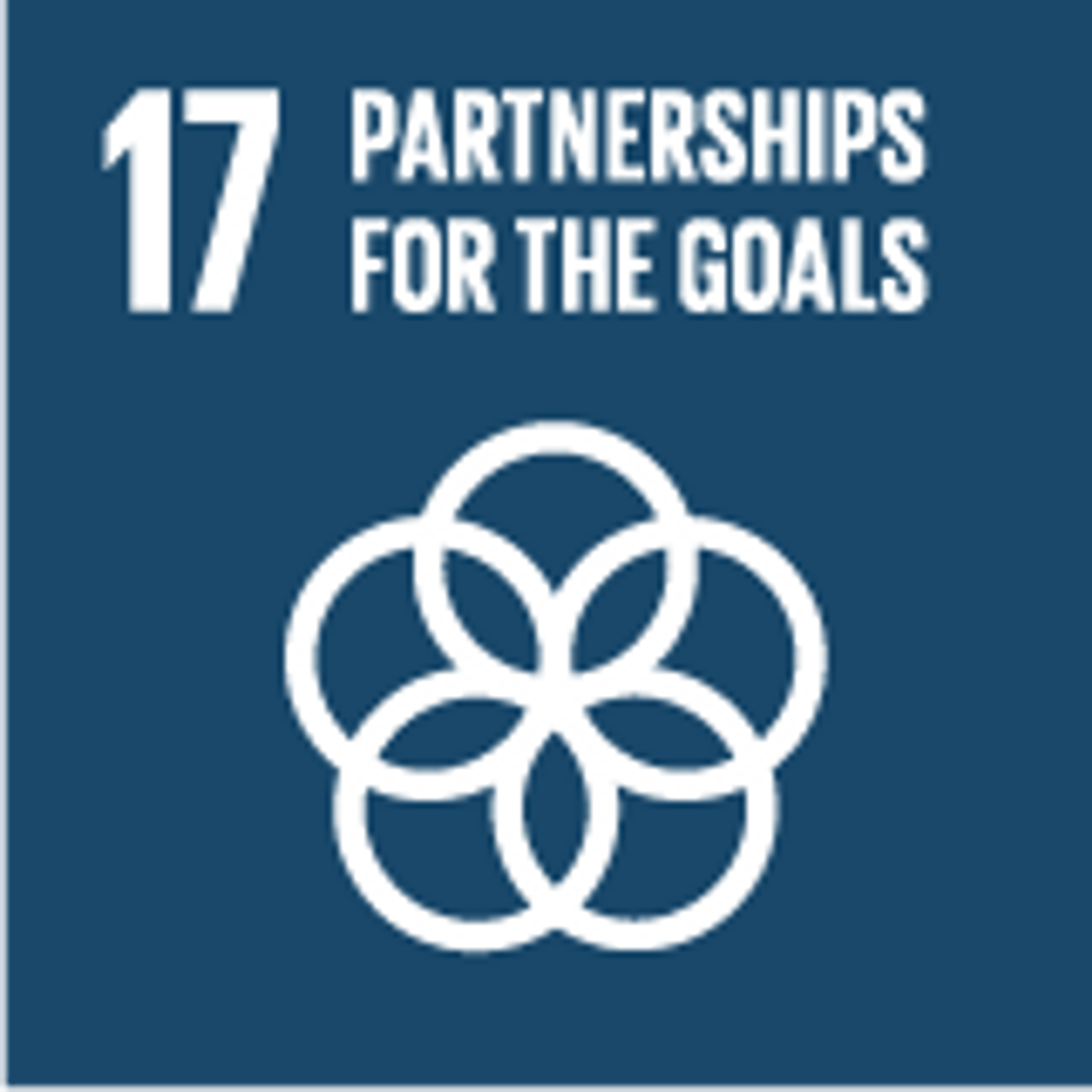 Global Goals _17 goal partnership for th